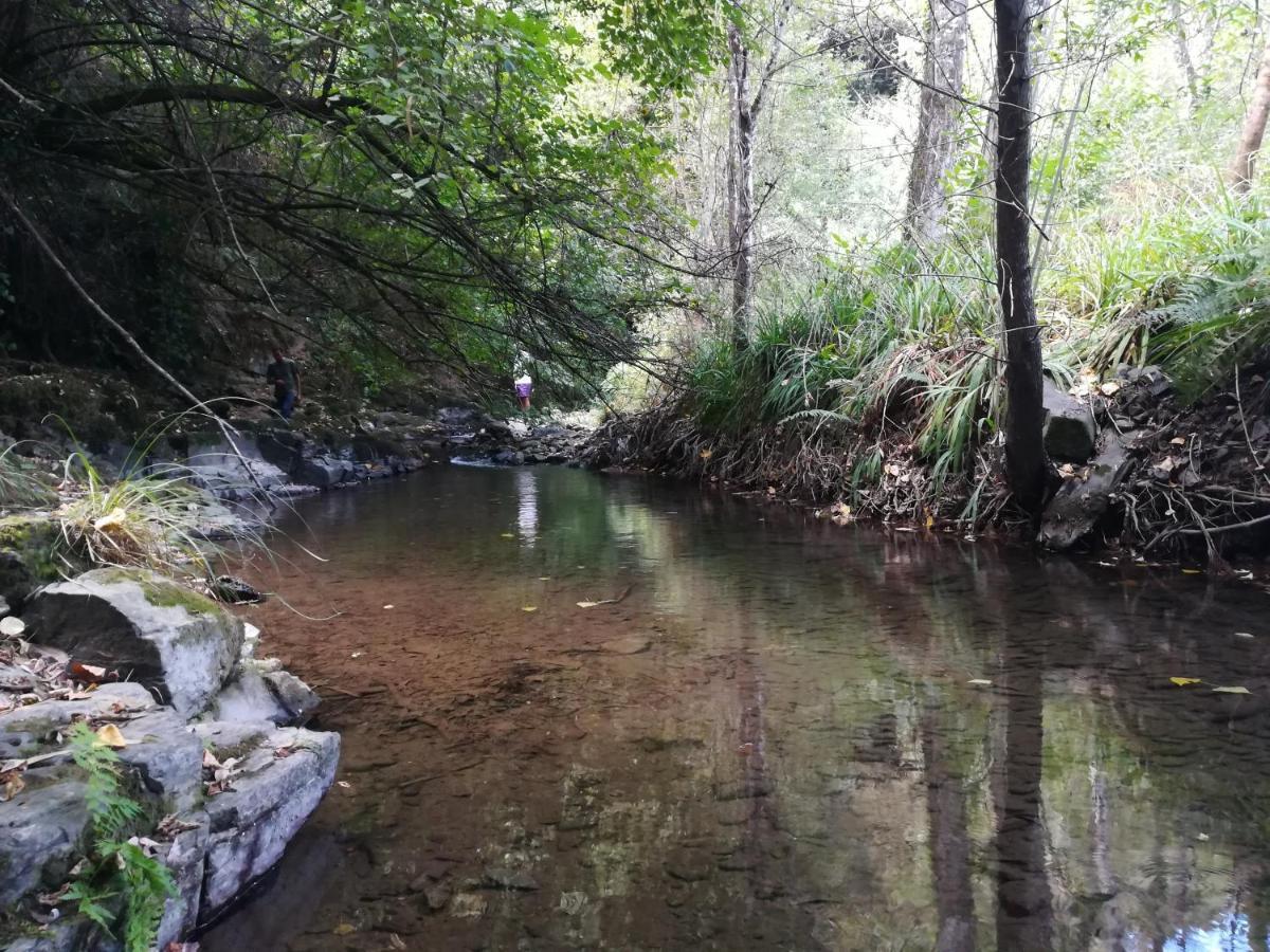 Quinta Da Portelada Peso da Régua Esterno foto