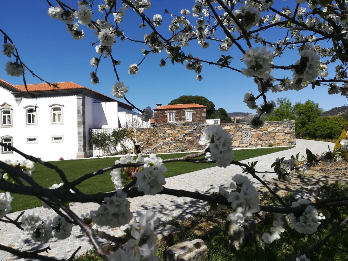 Quinta Da Portelada Peso da Régua Esterno foto