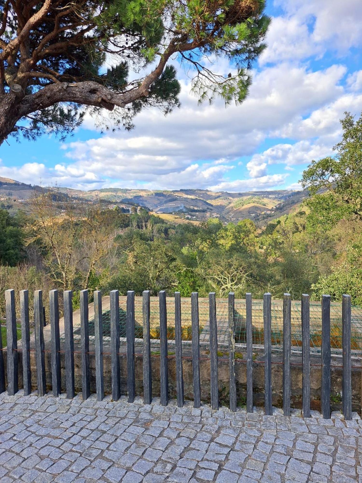 Quinta Da Portelada Peso da Régua Esterno foto
