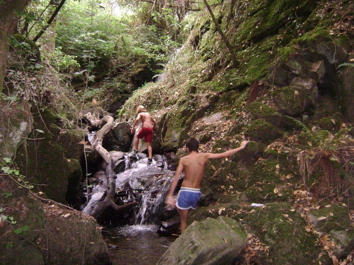 Quinta Da Portelada Peso da Régua Esterno foto