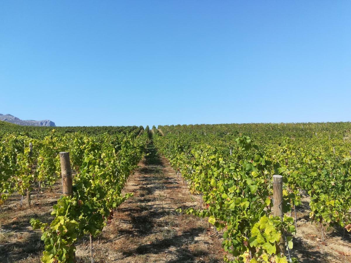 Quinta Da Portelada Peso da Régua Esterno foto